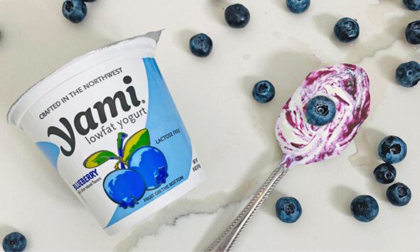 Lowfat Yogurt Blueberry 6oz